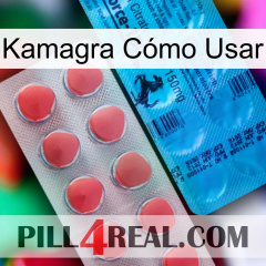 Kamagra Cómo Usar new14